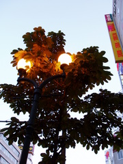 20051108-02.jpg