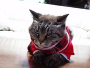 20051110-00.jpg