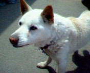 20070318-03.jpg
