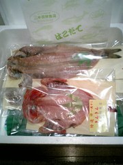 20070318-04.jpg