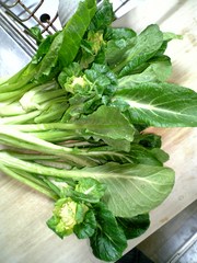 20070403-01.jpg