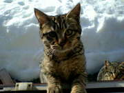 20070411-00.jpg