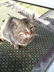 20070509-02.jpg