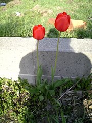 20070512-00.jpg