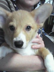 20070514-00.jpg