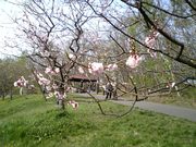 20070516-00.jpg