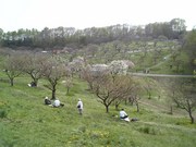 20070516-01.jpg
