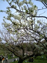 20070516-02.jpg