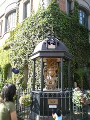 20070603-01.jpg