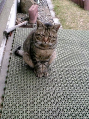 20070730-00.JPG