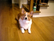 20070905-02.JPG