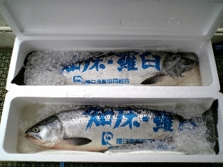 20070907-00.JPG