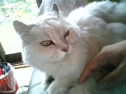 20070923-02.jpg