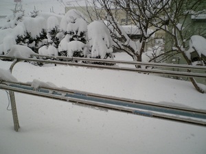 20080126-01.jpg