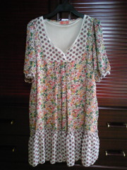 20080410-02.jpg