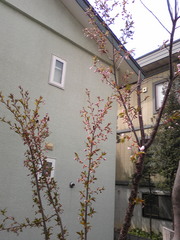 20080507-01.jpg
