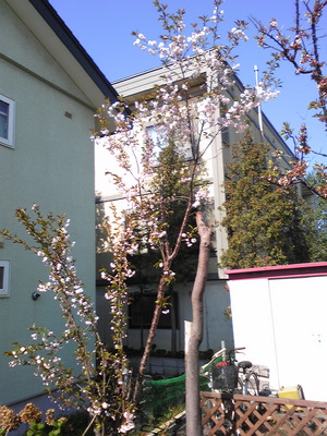 20080507-03.jpg