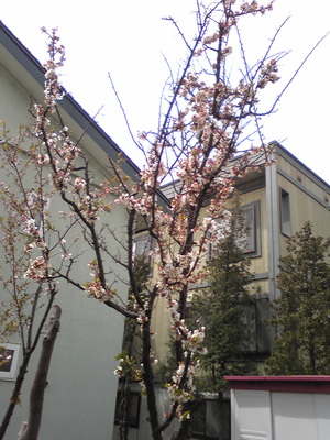 20080507-04.jpg