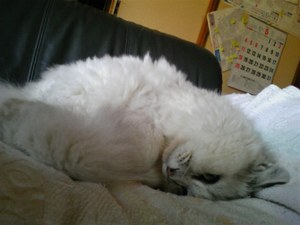 20080511-04.jpg