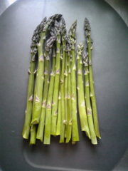 20080512-01.jpg