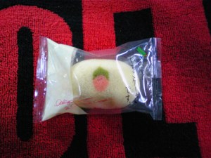 20080517-04.jpg