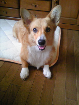 20080611-00.jpg
