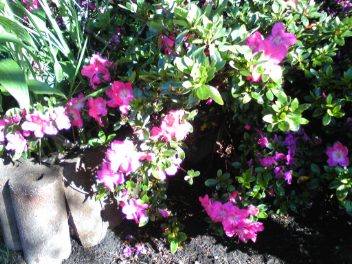 20080611-11.jpg