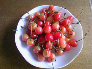 20080624-00.jpg