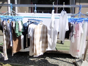 20080809-00.jpg