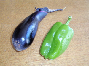 20080809-03.jpg