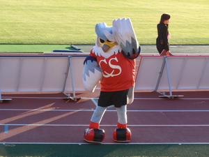 20080810-04.jpg