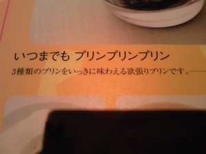 20080811-08.jpg