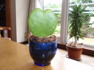 20080814-00.jpg