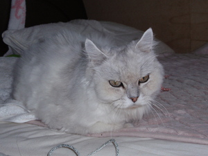 20080816-01.jpg