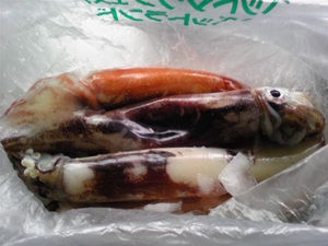 20080830-06.jpg