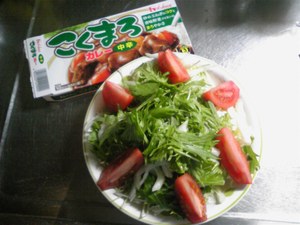 20090307-01.jpg
