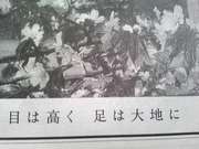 20090317-01.jpg