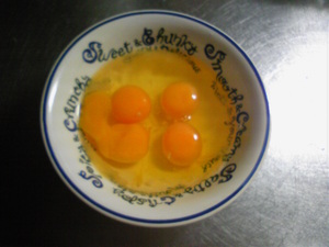 20090319-07.jpg