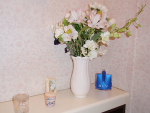 20090328-00.jpg