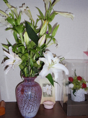 20090328-01.jpg
