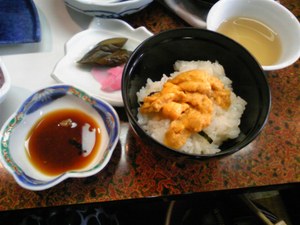 20090604-10.jpg