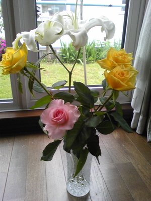 20090606-00.jpg