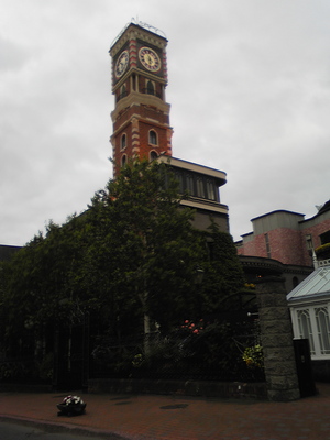 20090615-01.jpg