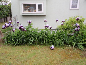 20090623-00.jpg