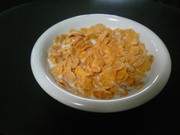 20090630-11.jpg