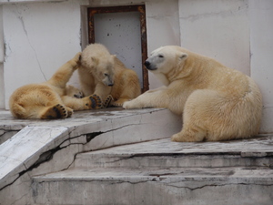 20090803-05.jpg