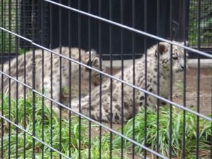 20090803-08.jpg