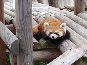 20090803-13.jpg