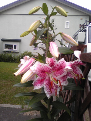 20090813-03.jpg