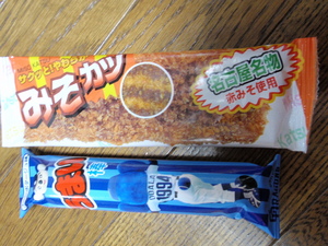 20090822-11.jpg
